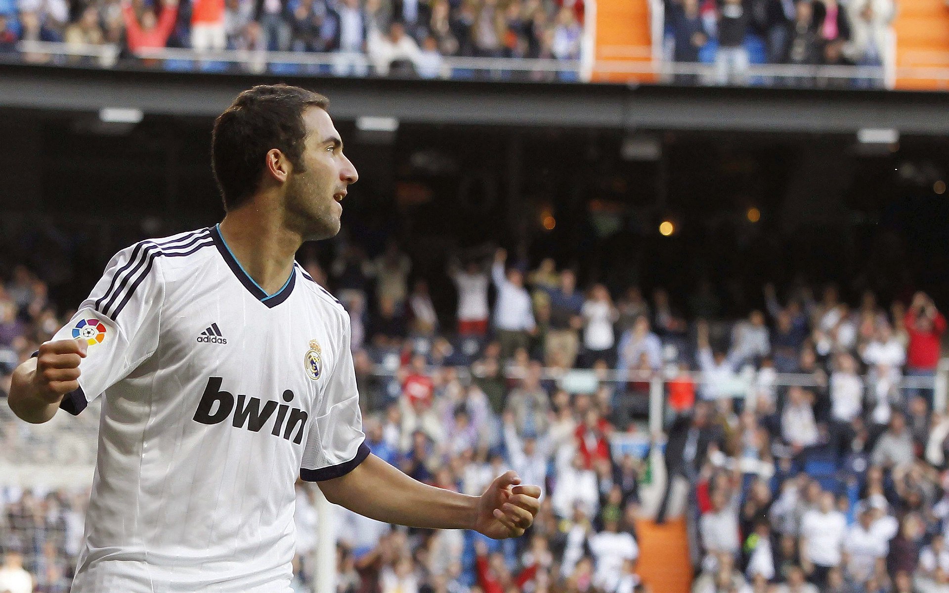 跳水环节波兰表现出色，跳水包揽