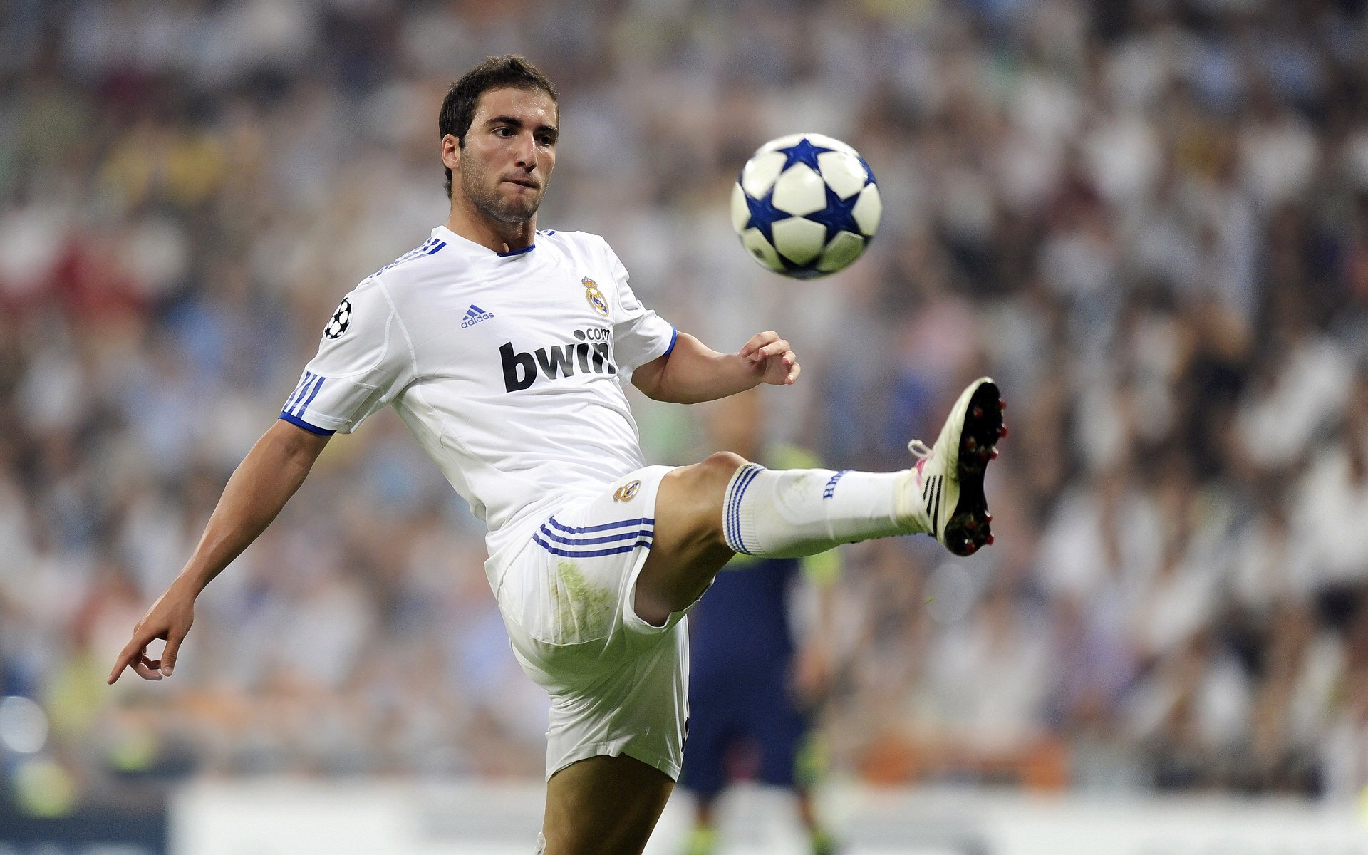 青训梯队设立奖学金鼓励学生兼顾学业与足球，青训选拔标准