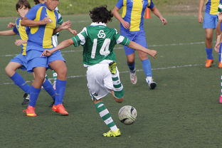 逆转之夜：全场巅峰对决不断！，《逆转之局》