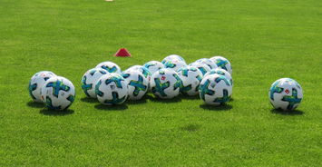 中国足球职业联赛市场分析，中国足球职业联赛正式开始